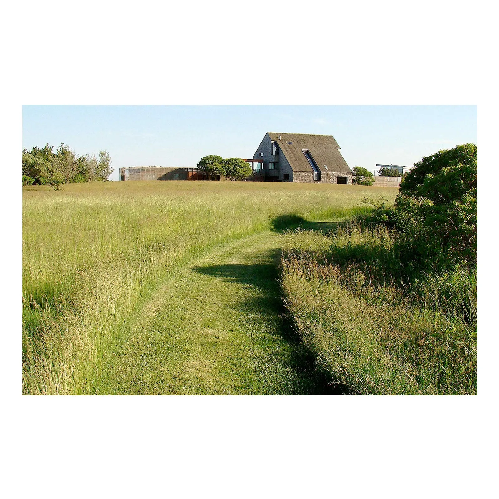 Contemporary Gardens of the Hamptons