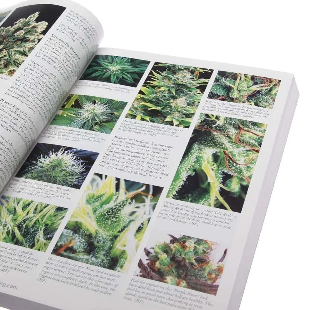 The Cannabis Encyclopedia by Jorge Cervantes