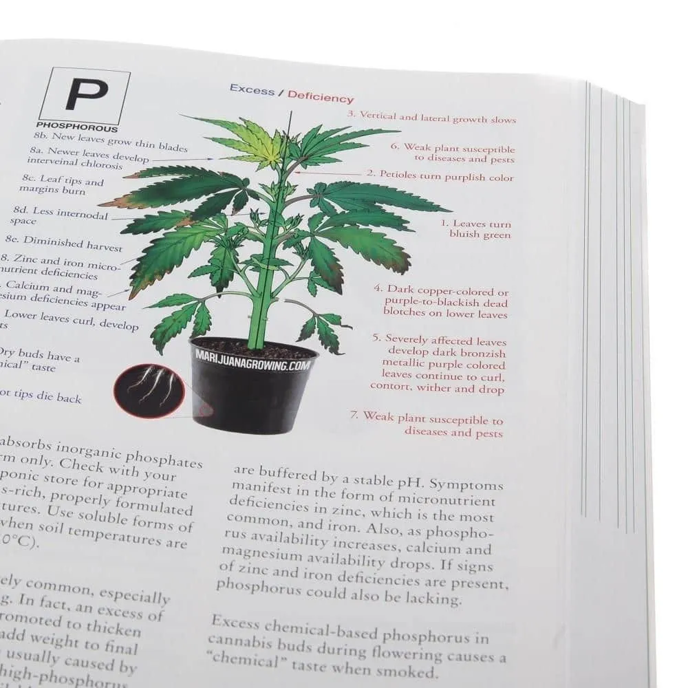 The Cannabis Encyclopedia by Jorge Cervantes