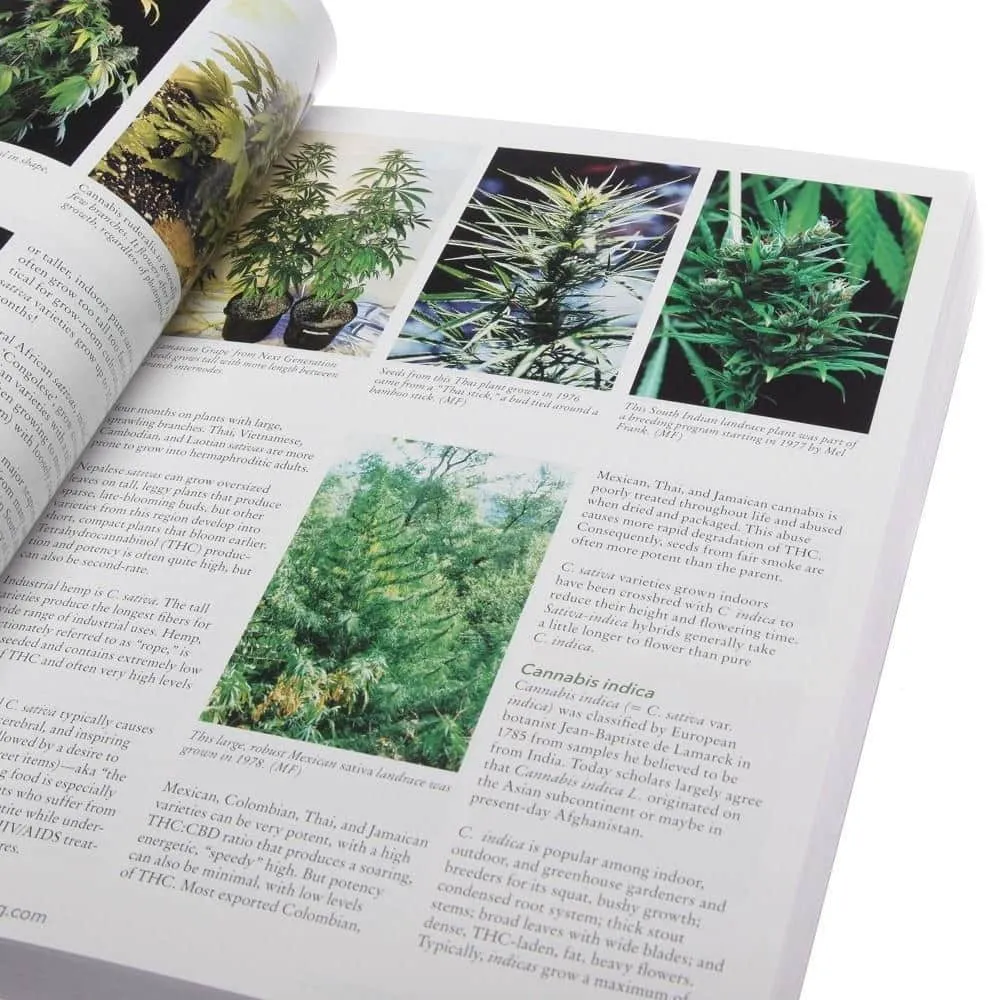 The Cannabis Encyclopedia by Jorge Cervantes